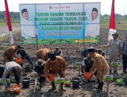 Sosialisasi Tanam Tembakau 2025 di Jombang: Dorong Inovasi di Tengah Tantangan Iklim