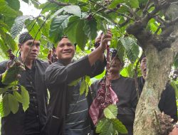 Wiwit Kopi Segunung: Tradisi Turun‑Temurun Warga Carangwulung Sambut Panen dan Pererat Kebersamaan