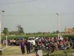 Mayat Pria Tanpa Identitas Ditemukan di Kebun Jagung Kepuhkembeng Jombang